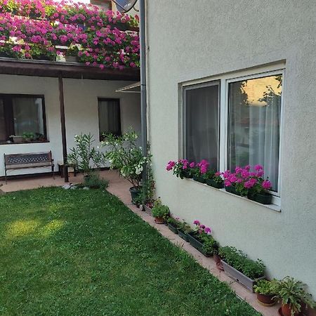 Apartman MITIĆ Pozarevac Bagian luar foto