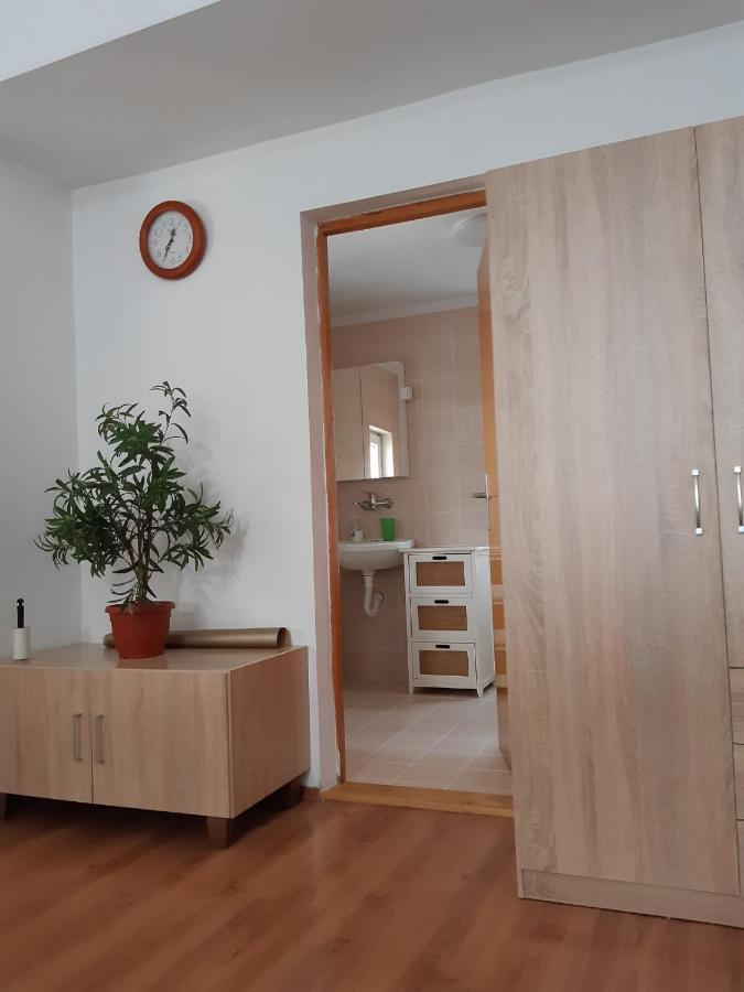 Apartman MITIĆ Pozarevac Bagian luar foto