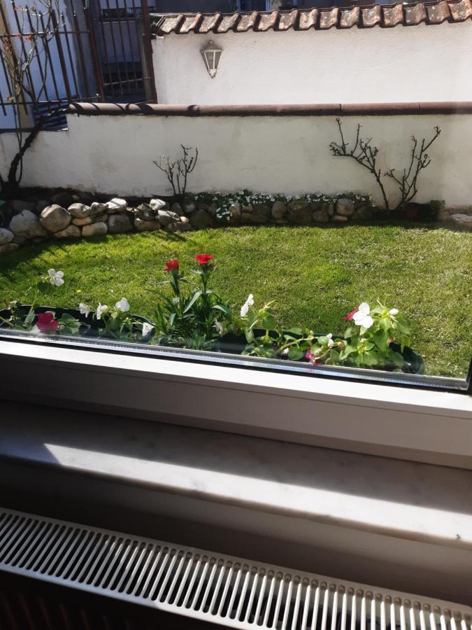 Apartman MITIĆ Pozarevac Bagian luar foto